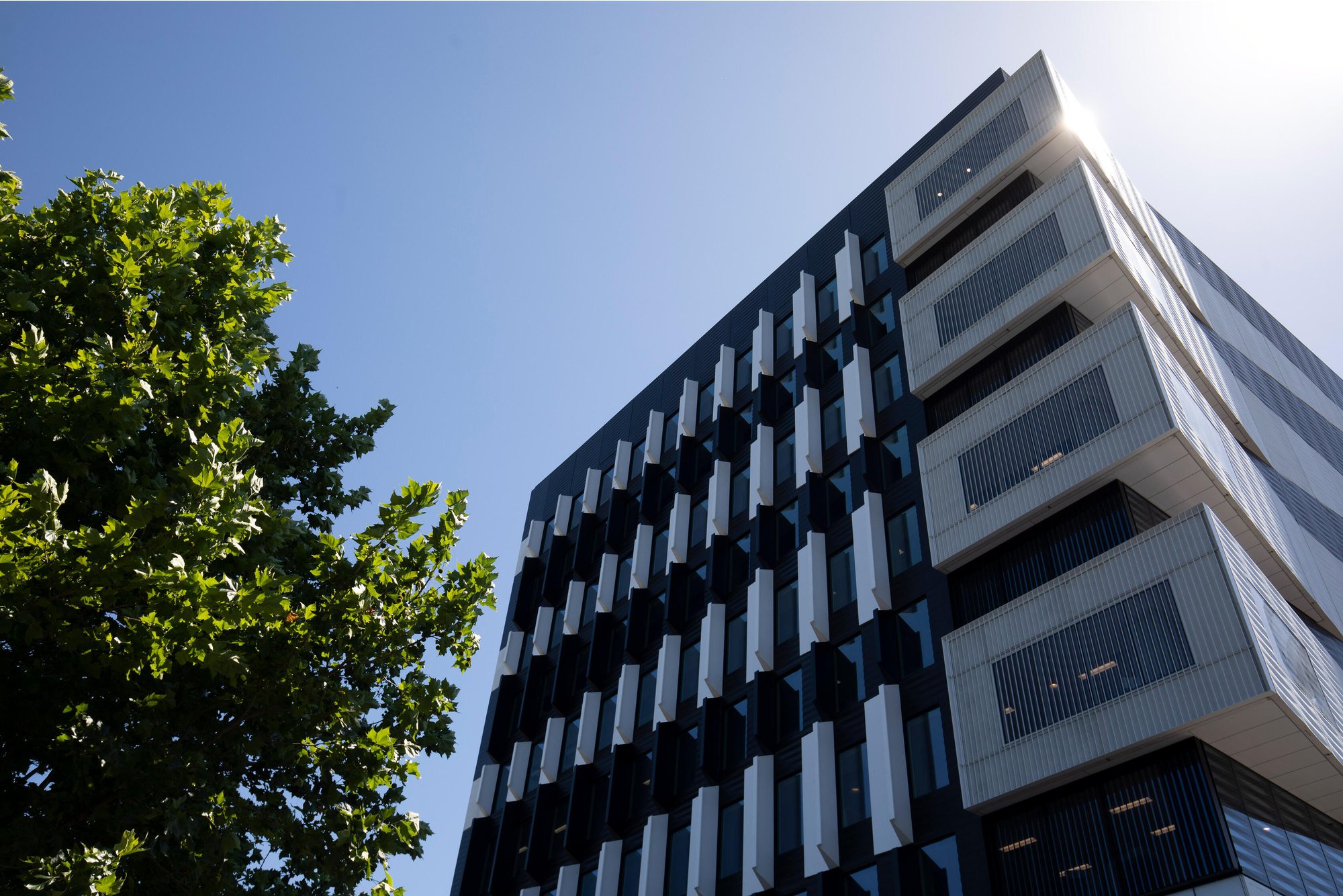 ANZ Raranga