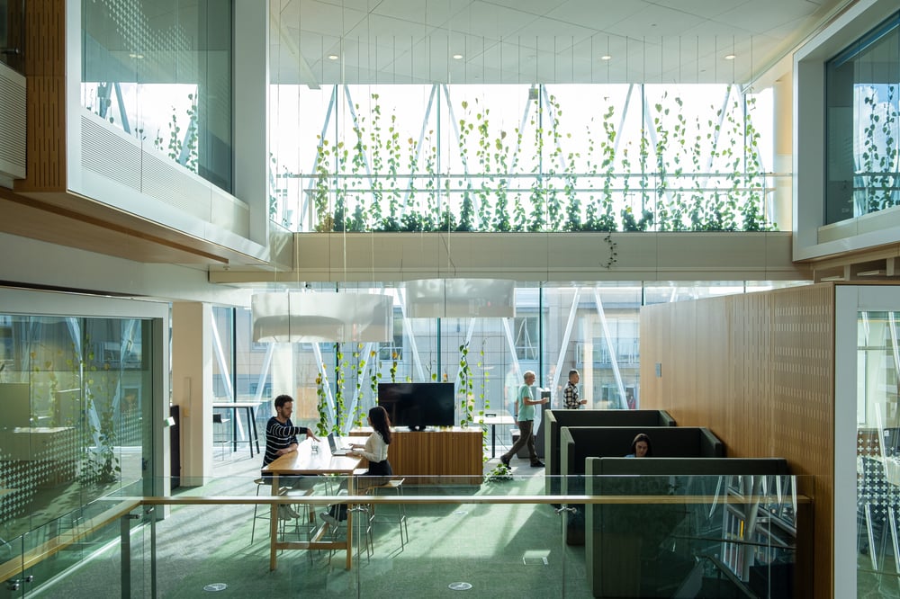 tonkinandtaylor_aucklandofficefitout_greenstar_building_image_(15)-3120x2080