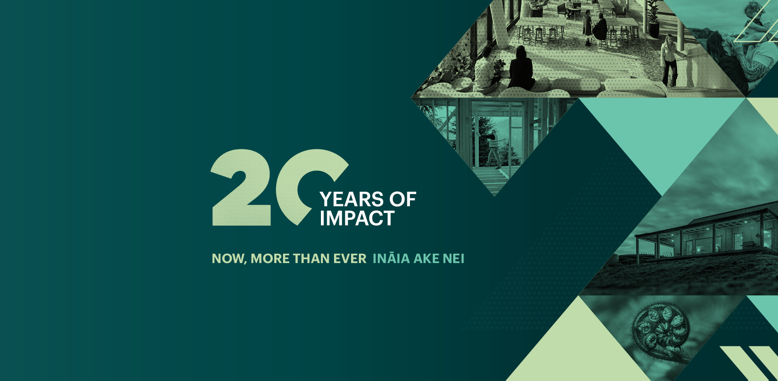 21601 - NZGBC - 20 Years Identity_Website Banner 1600 x 785mm3