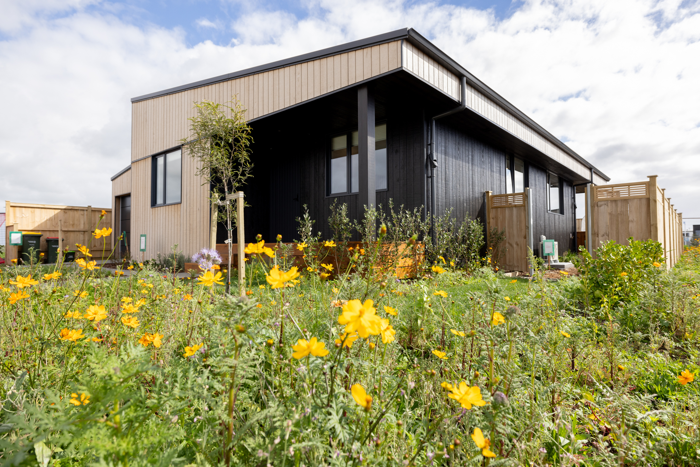 LowCO House