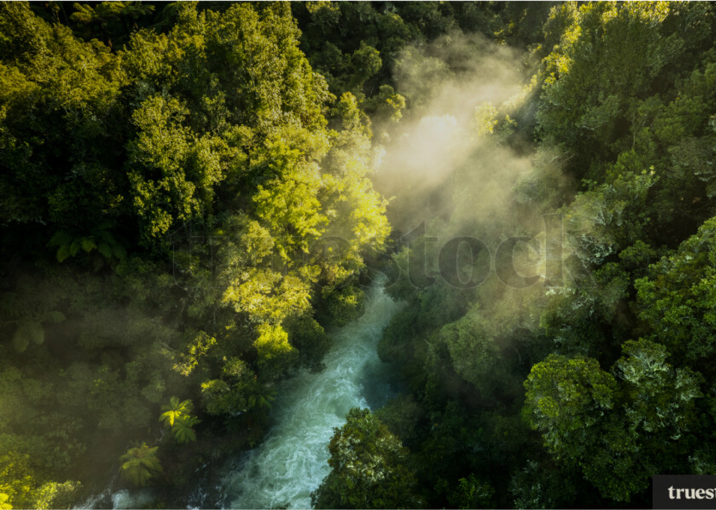 Desktop_Header - Over Image (1)