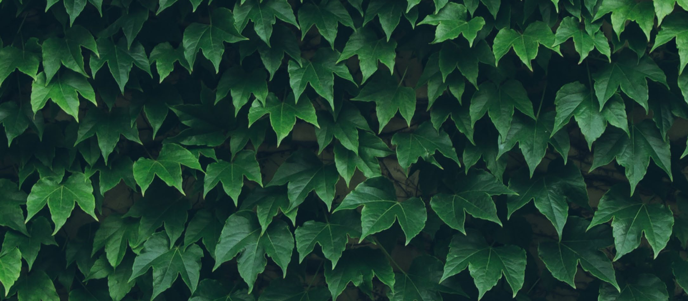 Green recovery front cover
