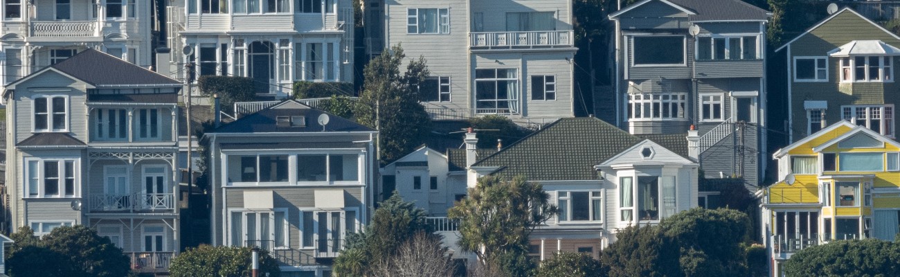 Government plan to slash emissions 'as damp as a Wellington flatshare' says Green Building Council