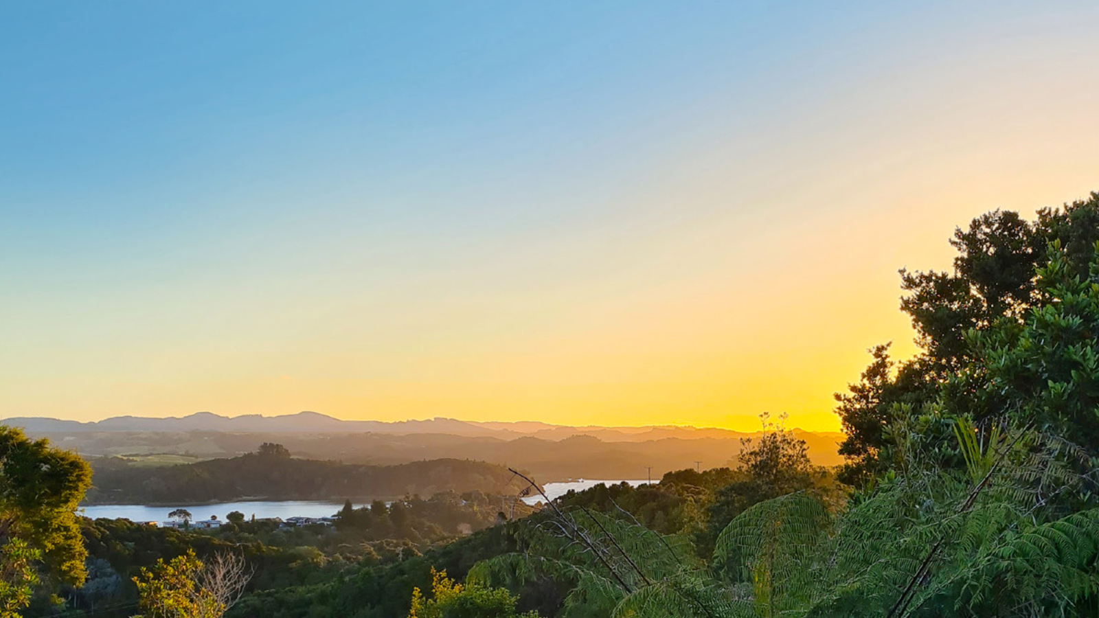 nzgbc-Dec-11-2024-03-05-23-5759-AM